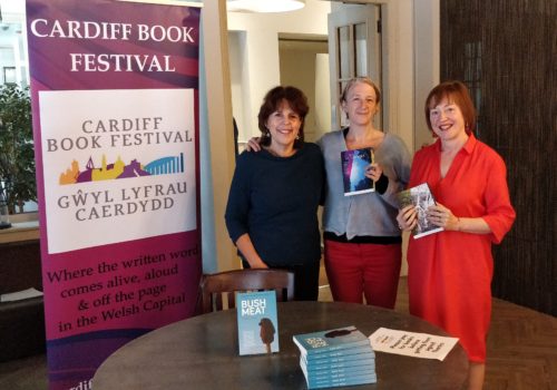 Cardiff Book Festival