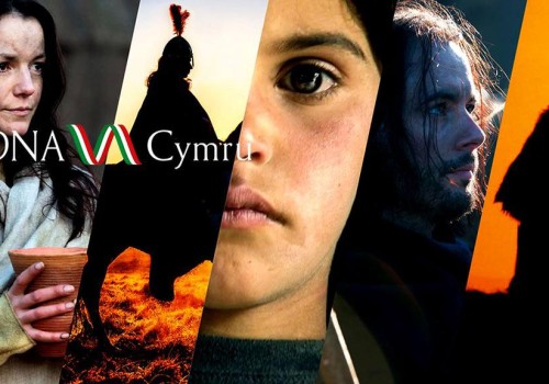 DNA Cymru – Cyfres Series