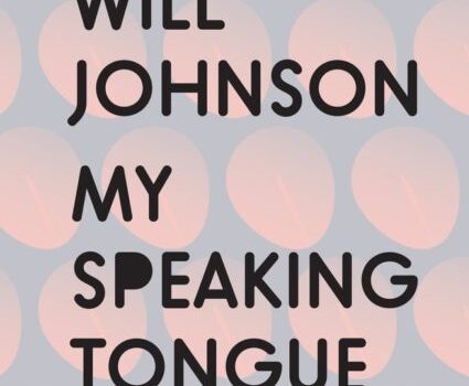 Review of Will Johnson’s poetry collection